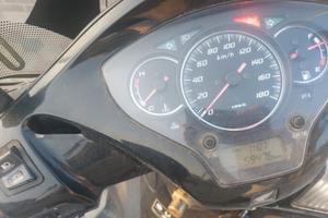 sh300 sport