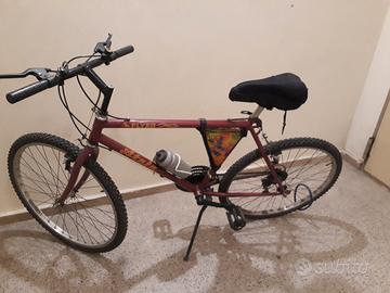bicicletta 