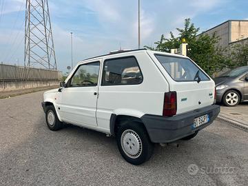 Fiat Panda 1100 i.e. cat Young