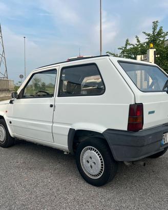 Fiat Panda 1100 i.e. cat Young