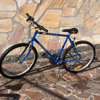 Bicicletta Mountain bike
