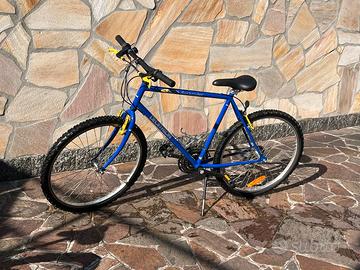 Bicicletta Mountain bike