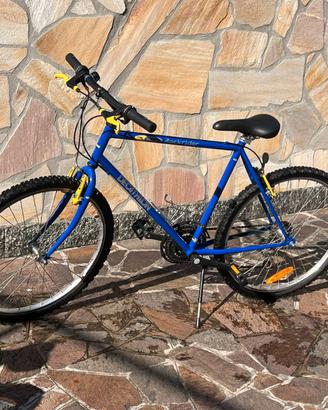 Bicicletta Mountain bike