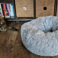 Lettino per i gatti
