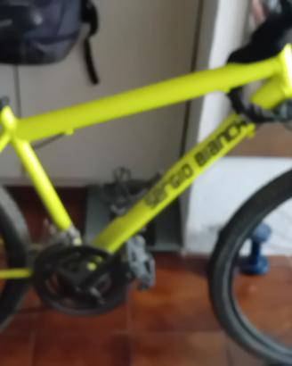 bici sergio bianchi