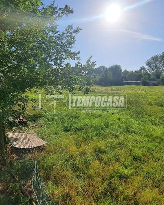 Casa Singola Immersa nel Verde - SAN DAMASO