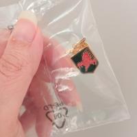 Spilla aeronautica militare Diavoli rossi