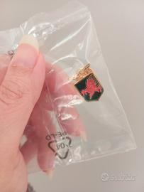 Spilla aeronautica militare Diavoli rossi