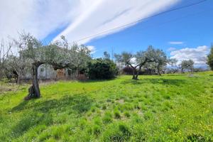 CASOLARE CON TERRENO