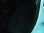 Immagine 10