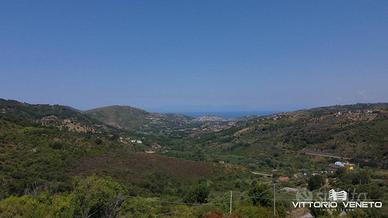 Terreno di 29526 m² a Laureana Cilento