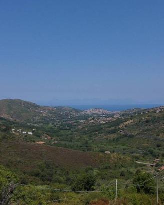 Terreno di 29526 m² a Laureana Cilento