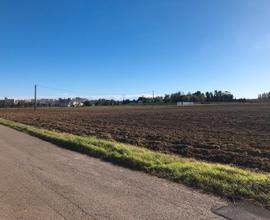 Terreno agricolo con pozzo