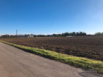 Terreno agricolo con pozzo