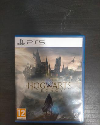 Hogwarts Legacy 