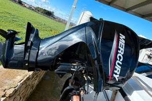 Barca a motore 40 cc