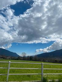 Terreni inustriali artigianali