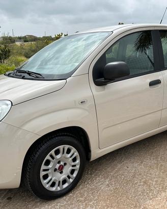Fiat Panda 1.2 Benzina  2016  71.000 km