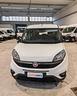 fiat-doblo-combi-maxi-xl-n1-1-6-mjt-120-cv-2019-