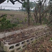  Pali in cemento per vigna