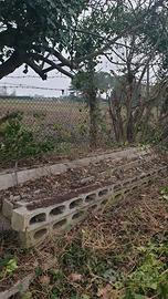  Pali in cemento per vigna