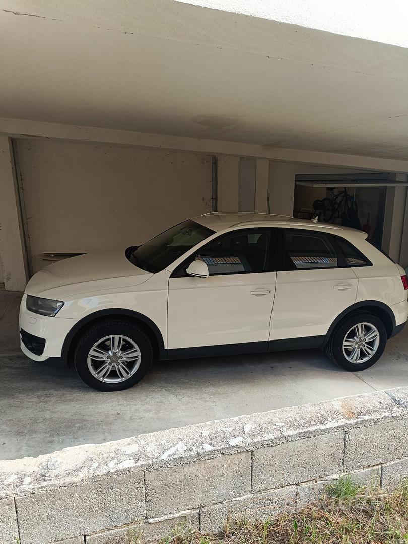 Audi Q3 2.0 TDI bisness plus - Auto In vendita a Campobasso