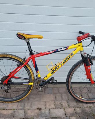 Bicicletta Mountain Bike