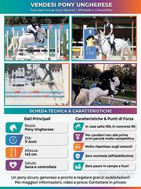 Pony 2015 ungherese