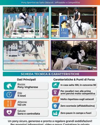 Pony 2015 ungherese