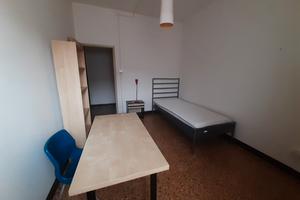 Stanza per studentessa zona mammuth