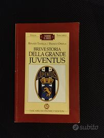 libro tascabile breve storia della grande juven