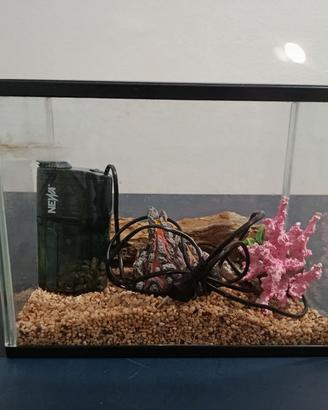 Acquario 15 lt