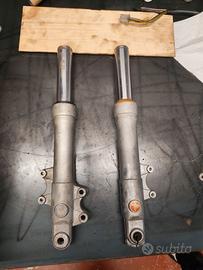 Forcelle Phantom f12