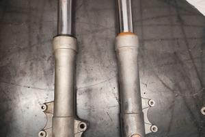 Forcelle Phantom f12