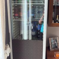 Frigo Vetrina Professionale da Bar/Ristorante