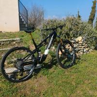 e-bike WHISTLE AXR 10.6