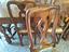 Immagine 5