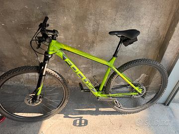 MTB Focus