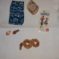 Vintage Ken in Hawaii outfit (1963) Mattel #1404