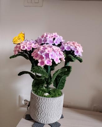 Vaso di ortensie