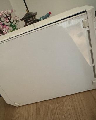 Nintendo wii