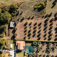 Gallicano nel lazio: rustico con terreno