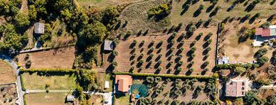 Gallicano nel lazio: rustico con terreno