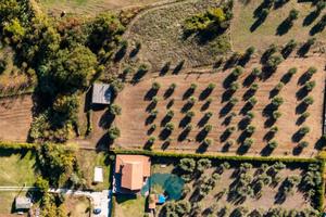 Gallicano nel lazio: rustico con terreno