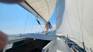 barca a vela leisure 17 con carrello