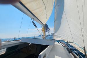 barca a vela leisure 17 con carrello