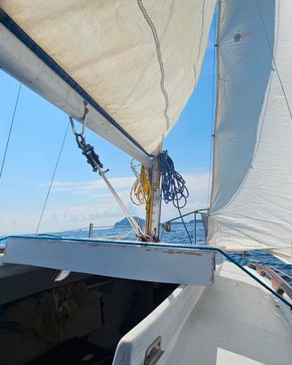 barca a vela leisure 17 con carrello