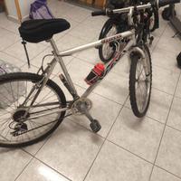 mountain bike usata