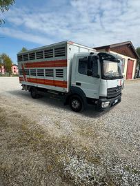 Camion Trasporto Animali