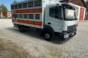 Camion Trasporto Animali